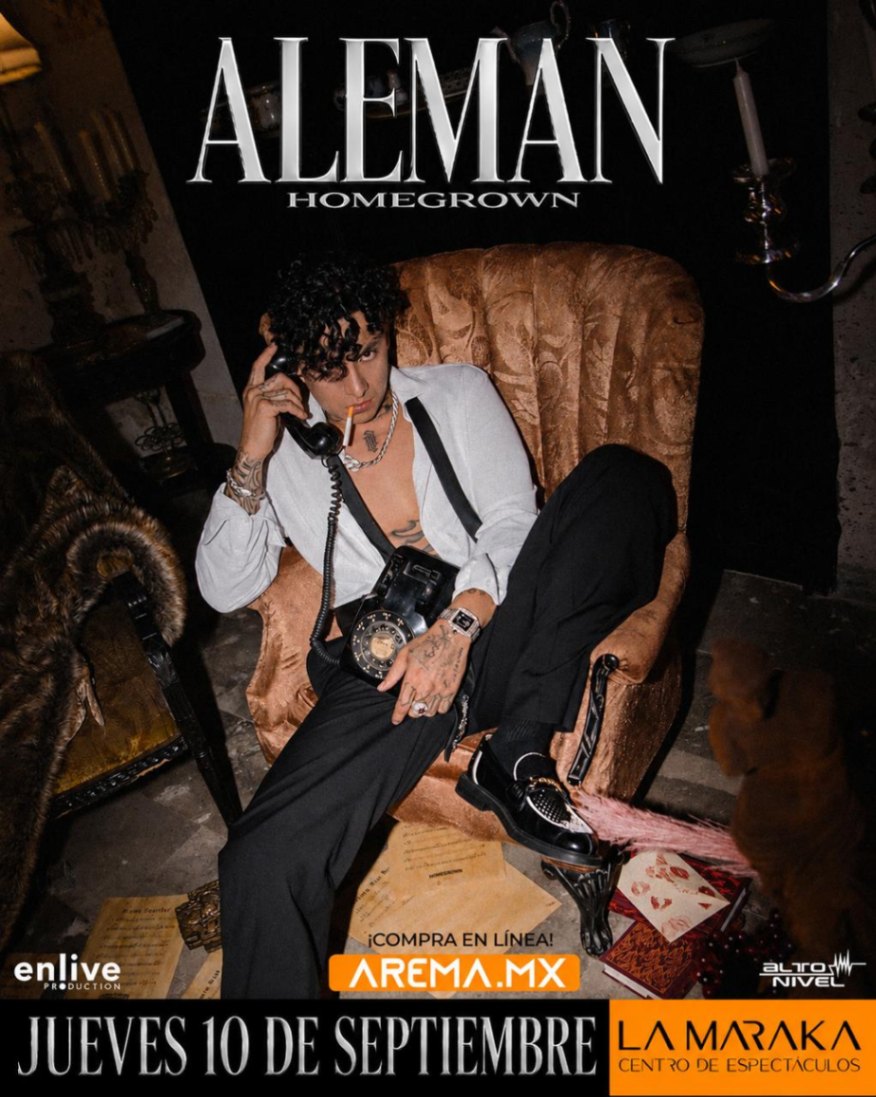 Flyer para Alemán