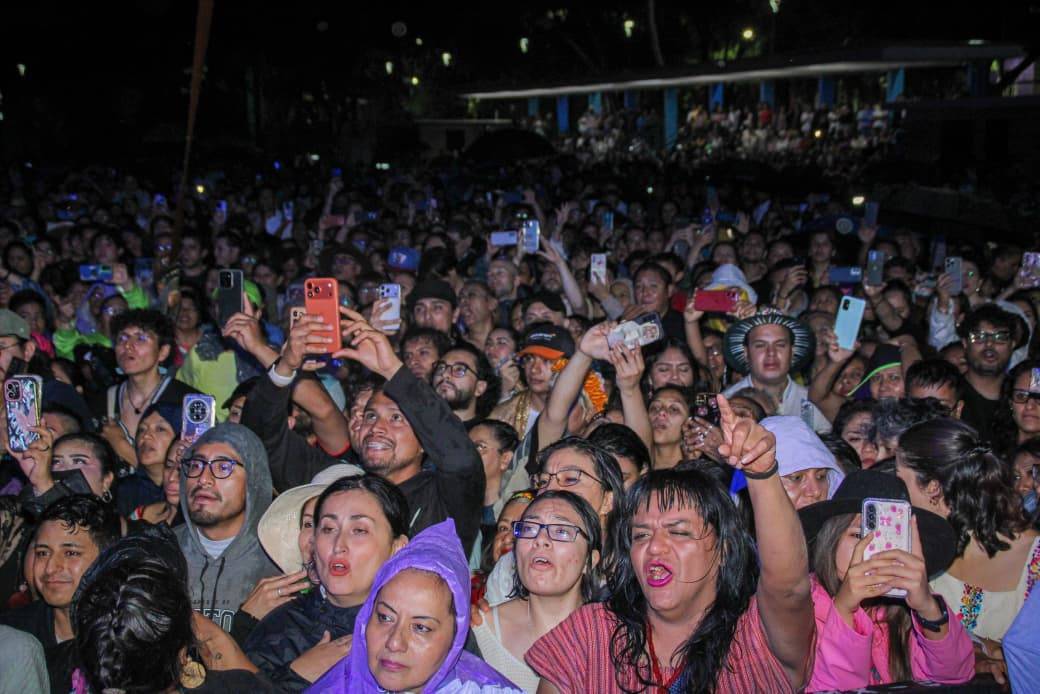 Imagen de galería 14