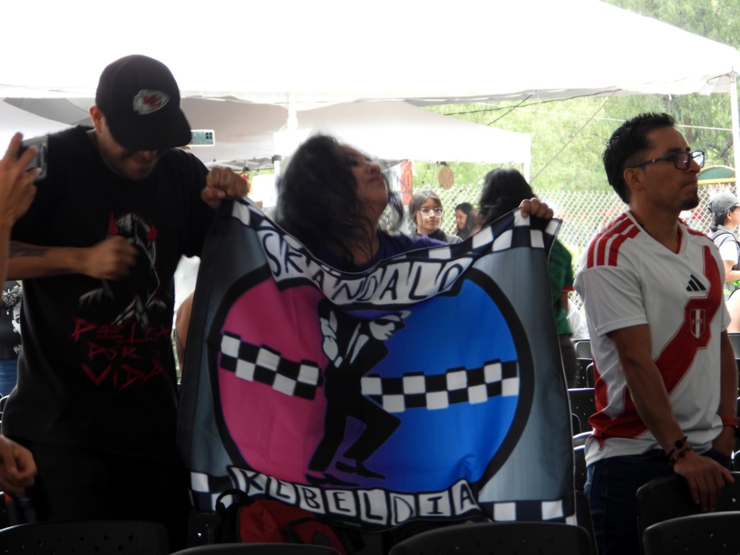 Imagen de galería 5