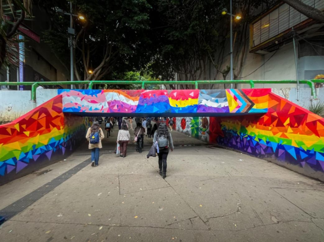 Imagen de galería 5