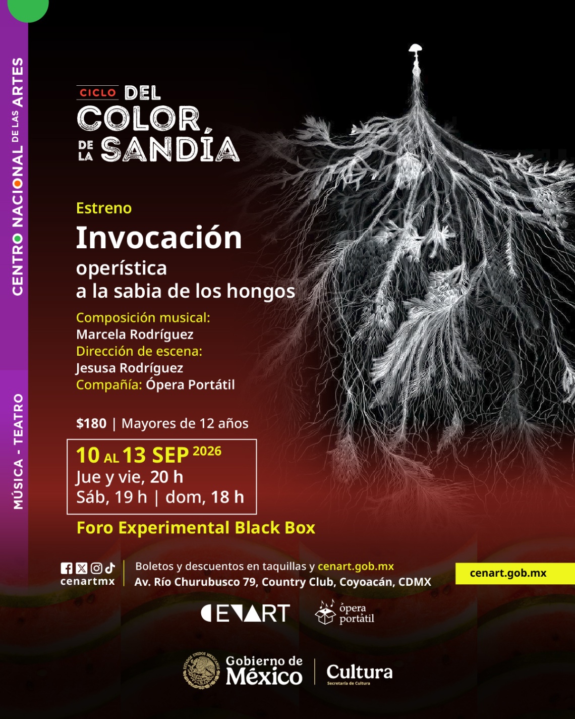 Imagen de galería 1