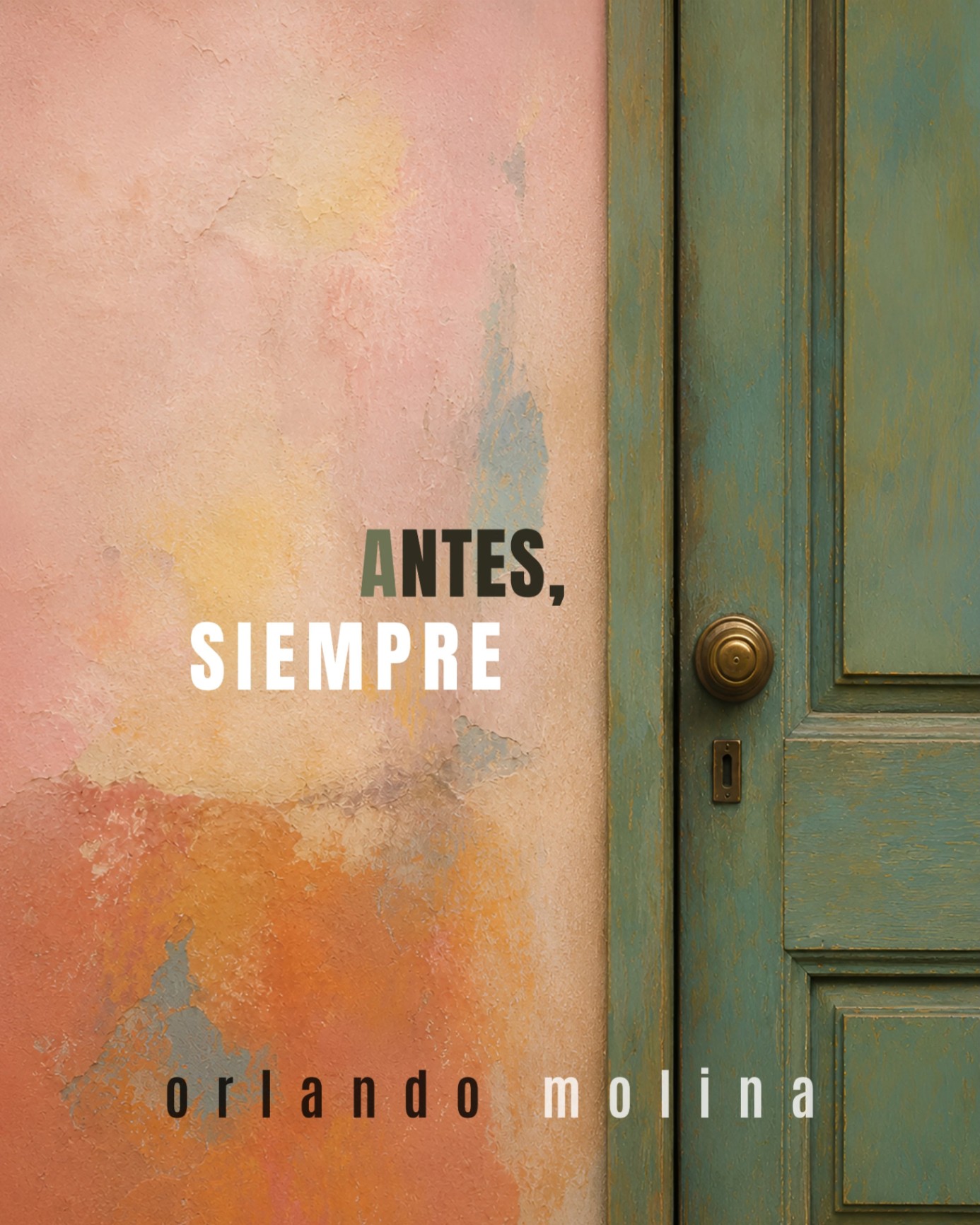 Imagen de galería 1