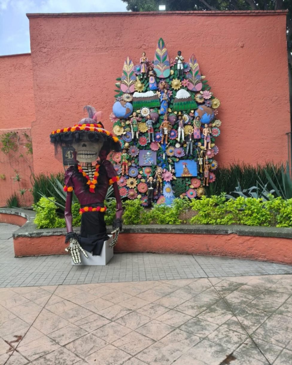 Imagen de galería 3